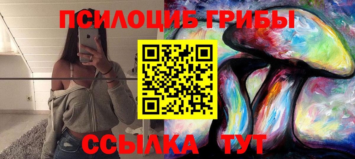 Галлюциногенные грибы прущие грибы Михайловка