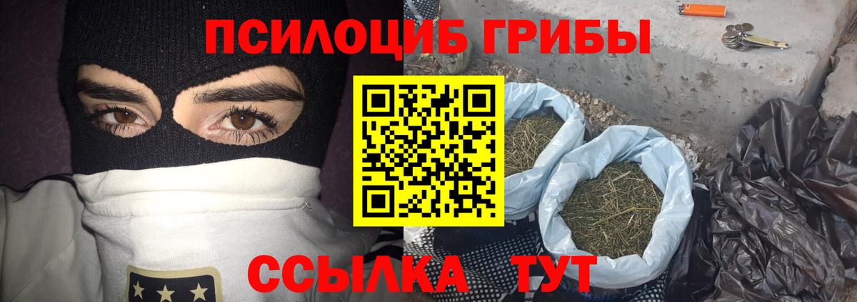 Михайловка  Псилоцибиновые грибы мухоморы  Вход с VPN  Галлюциногенные грибы Cubensis 